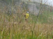 01 verso i laghi di Ponteranica